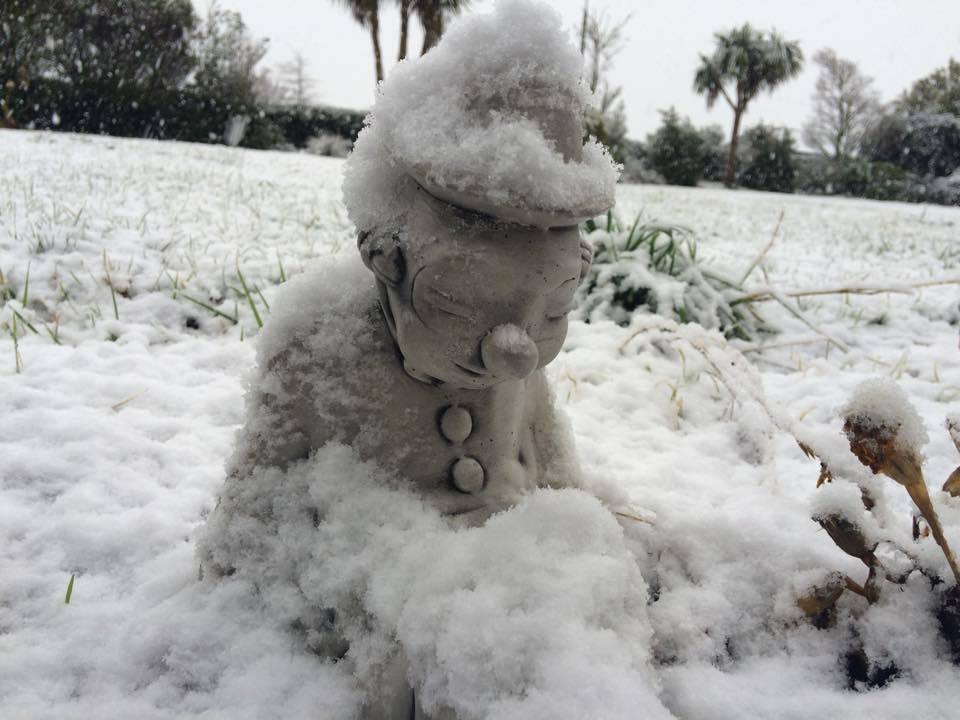 Photo: Shadow-Dawn O'Connor