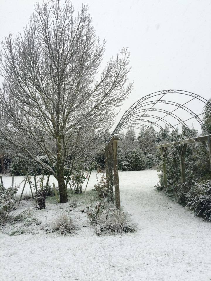 Photo: Shadow-Dawn O'Connor