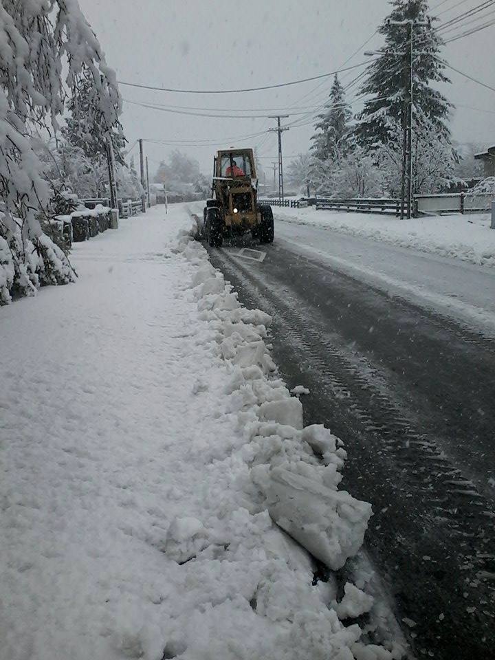 Photo: Monique Friend