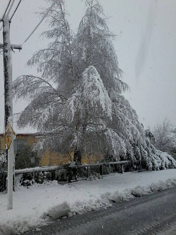 Photo: Monique Friend