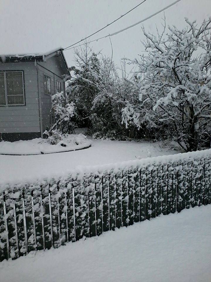 Photo: Monique Friend