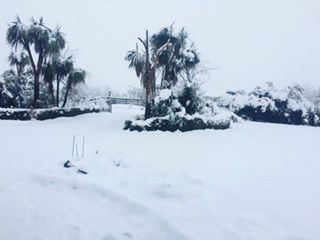 Cecilena O'Connor is in Darfield