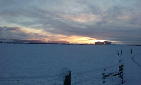 Photo: Nicole May Searby