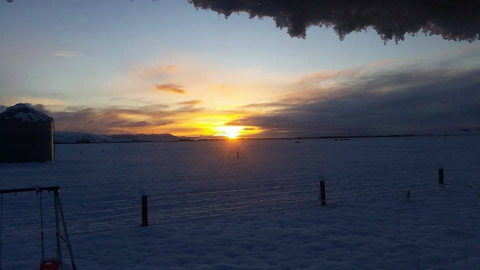 Photo: Anadia Pullman