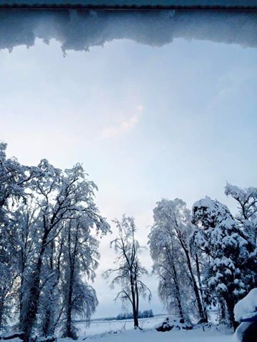 Photo: Debbie Simmons