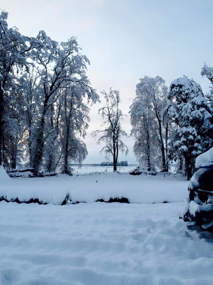 Photo: Debbie Simmons