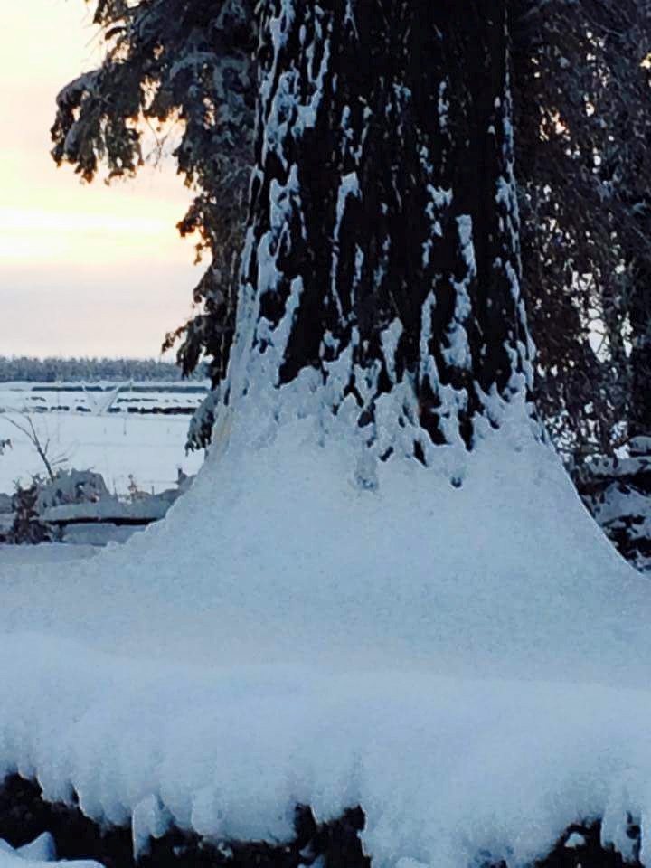 Photo: Debbie Simmons