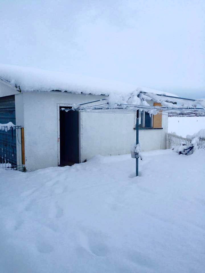 Photo: Debbie Simmons