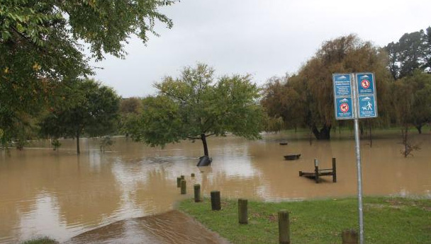 Kapiti. (Twitter: @Disastrolizer)