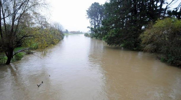 Kapiti. (Twitter: @Disastrolizer)