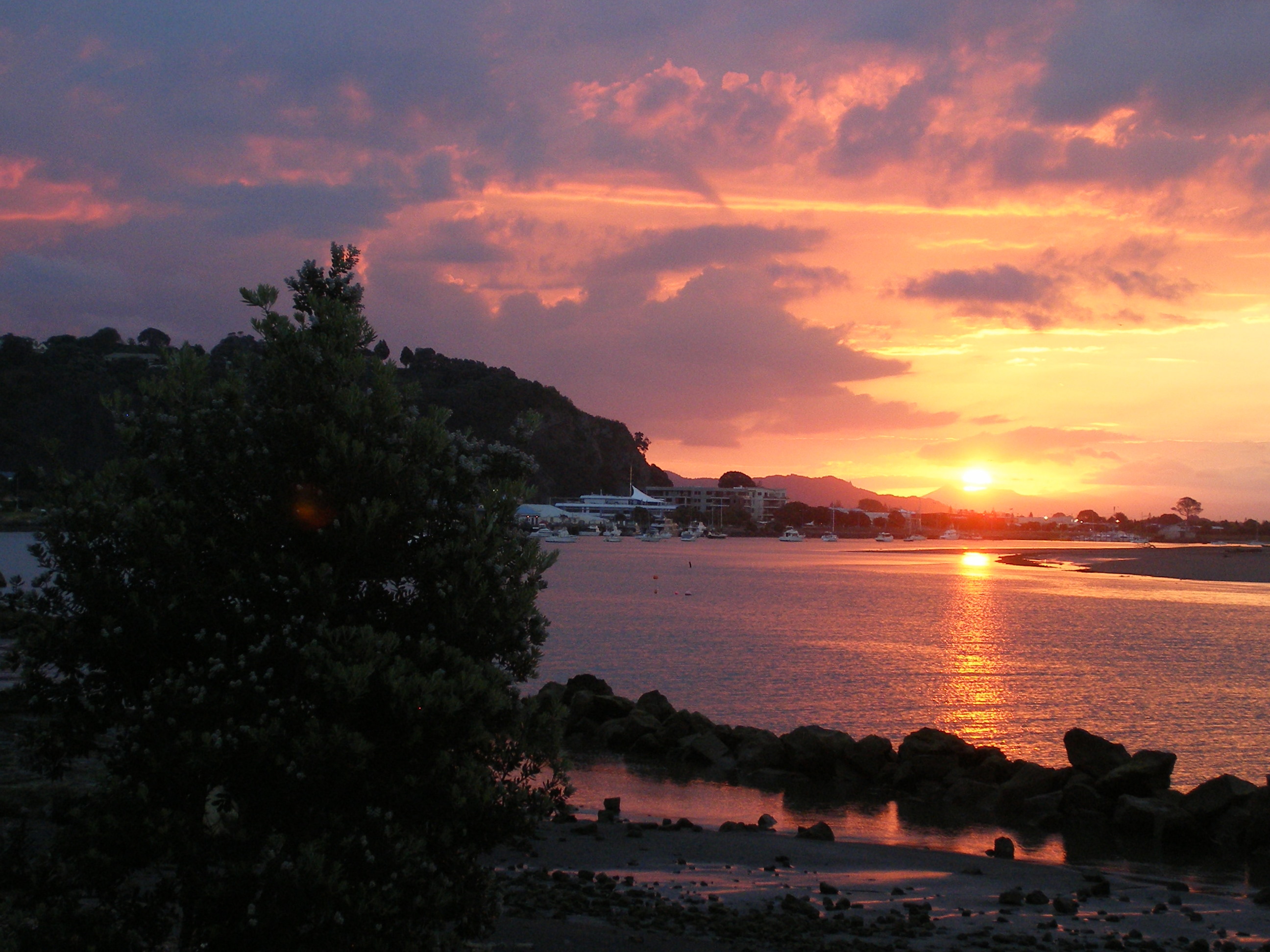 Photo / Robert Engberg