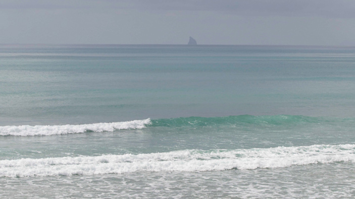 (New Zealand Herald)