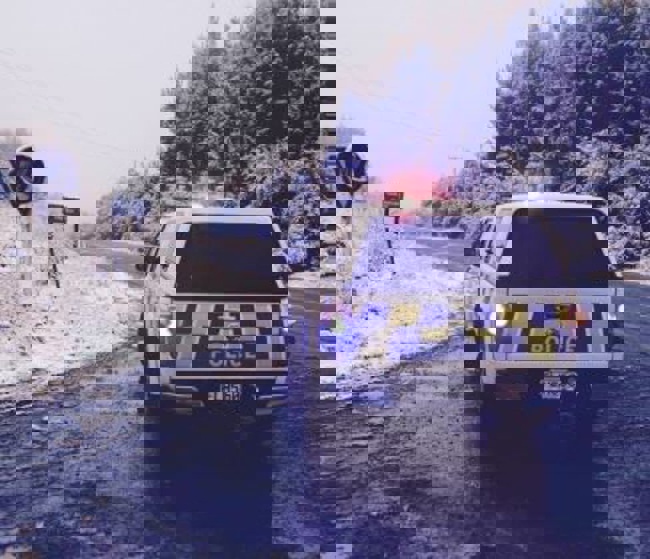 (Supplied - Hawke's Bay Police)