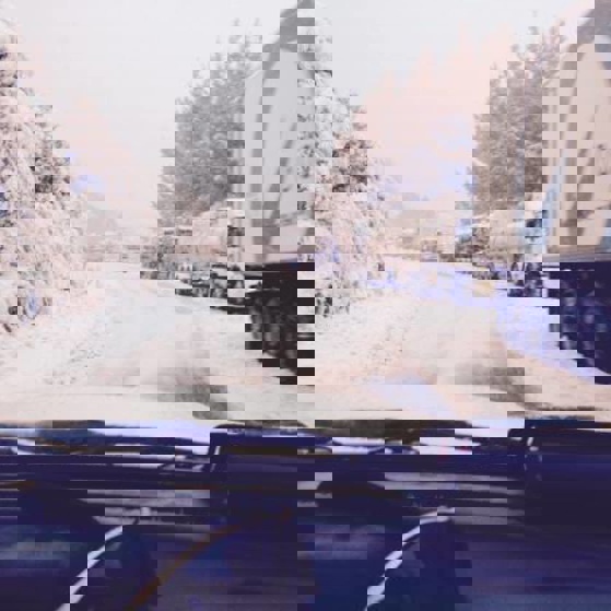 (Supplied - Hawke's Bay Police)