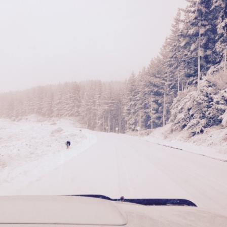 (Supplied - Hawke's Bay Police)