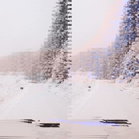 (Supplied - Hawke's Bay Police)