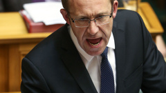 Andrew Little (Getty Images)