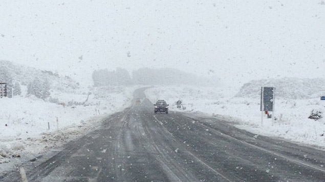 (Photo / NZTA Facebook)