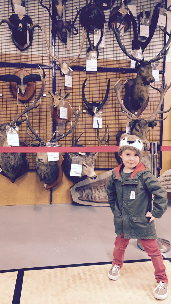 A young visitor poses with trophy heads in Te Papa’s Tory Street storehouse (Te Papa)