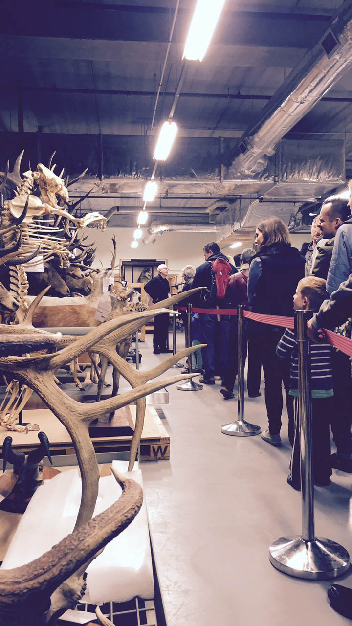 Visitors line up to view natural history collections in Te Papa’s Tory Street storehouse (Te Papa)