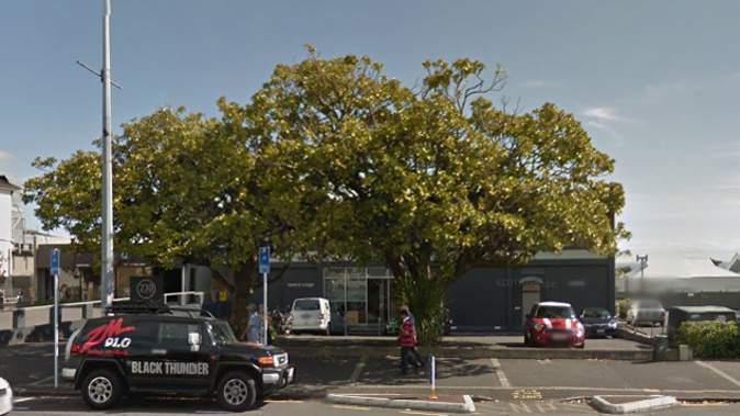 The 'priceless' trees on Ponsonby Road (Google Streetview)