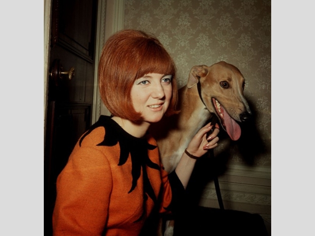Pictured with greyhound Ringo after making the draw for the first round of the 1964 National Inter-Track Greyhound Championship.