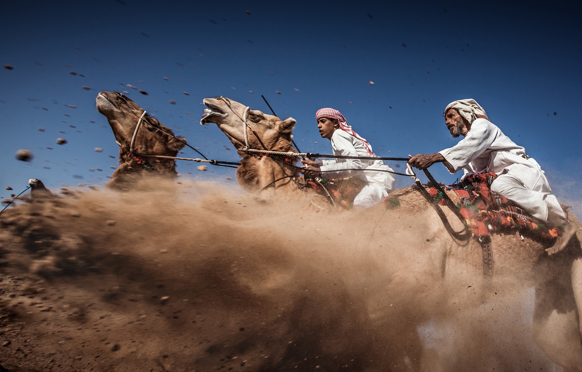 Traditional camel racing in Oman (Ahmed Al Toqi)