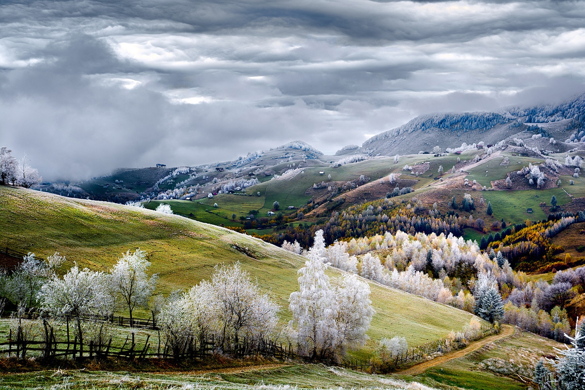 White frost over Pestera village in Romania (Eduard Gutescu)