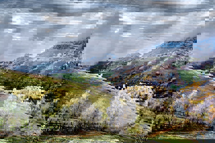 White frost over Pestera village in Romania (Eduard Gutescu)