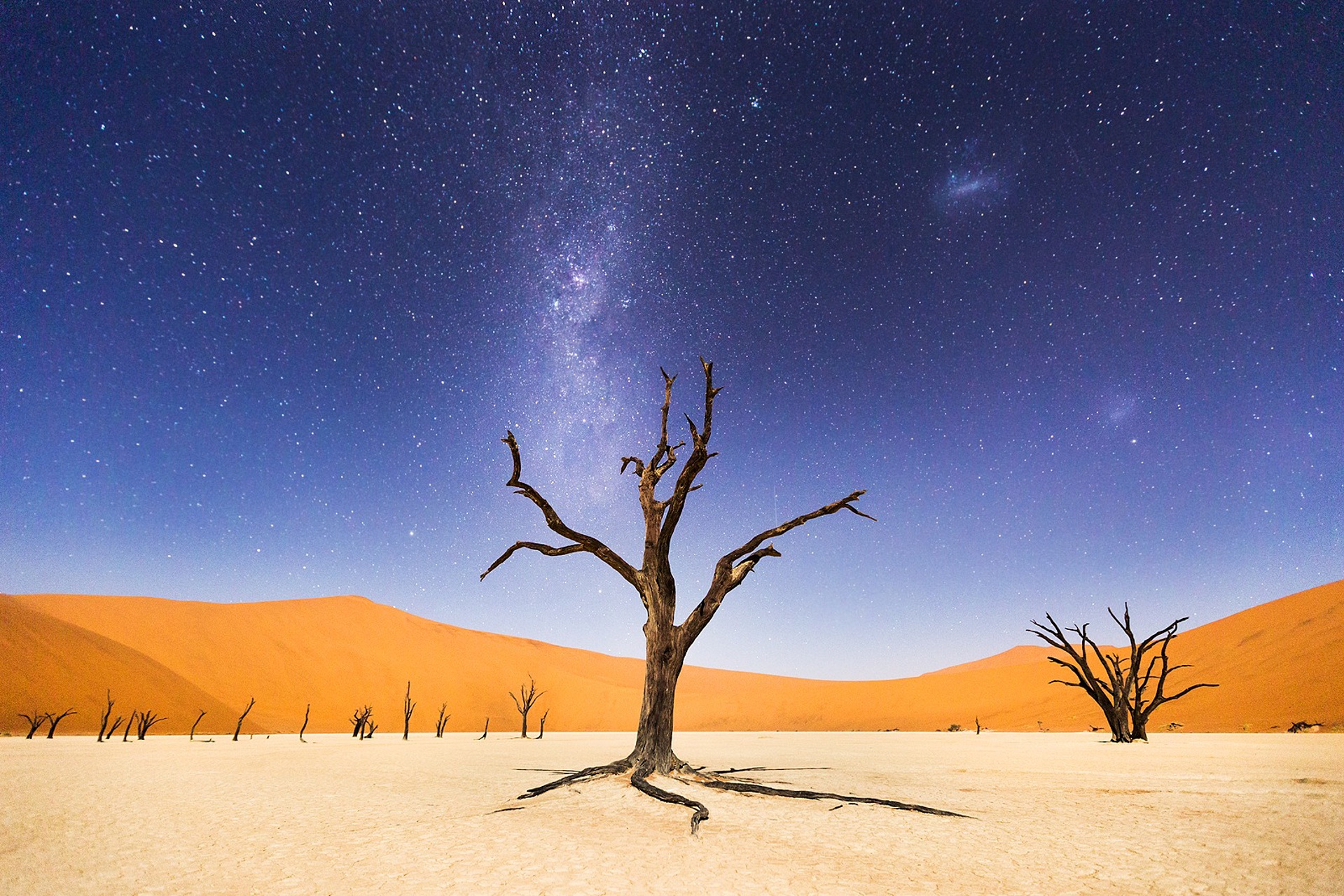 A night at Deadvlei, in Namibia (Beth McCarley)