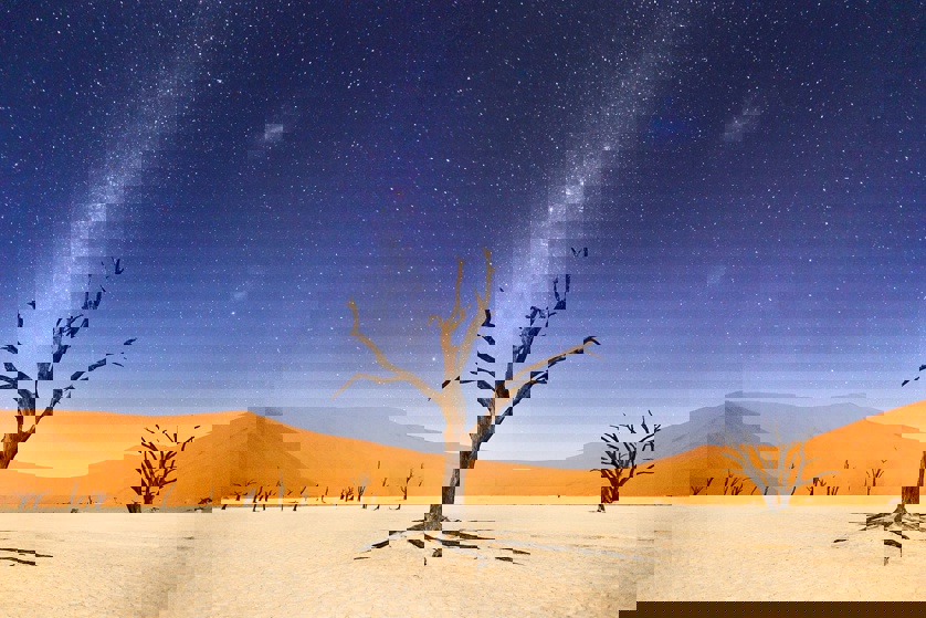 A night at Deadvlei, in Namibia (Beth McCarley)