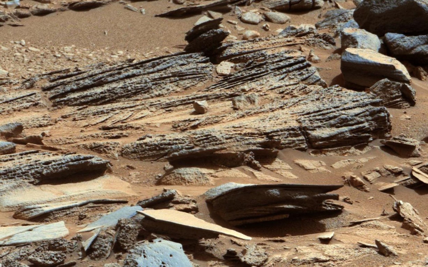 This image from the Mast Camera on Curiosity shows inclined layering known as cross-bedding in an outcrop called "Shaler" on a scale of a few tenths of meters, or decimeters