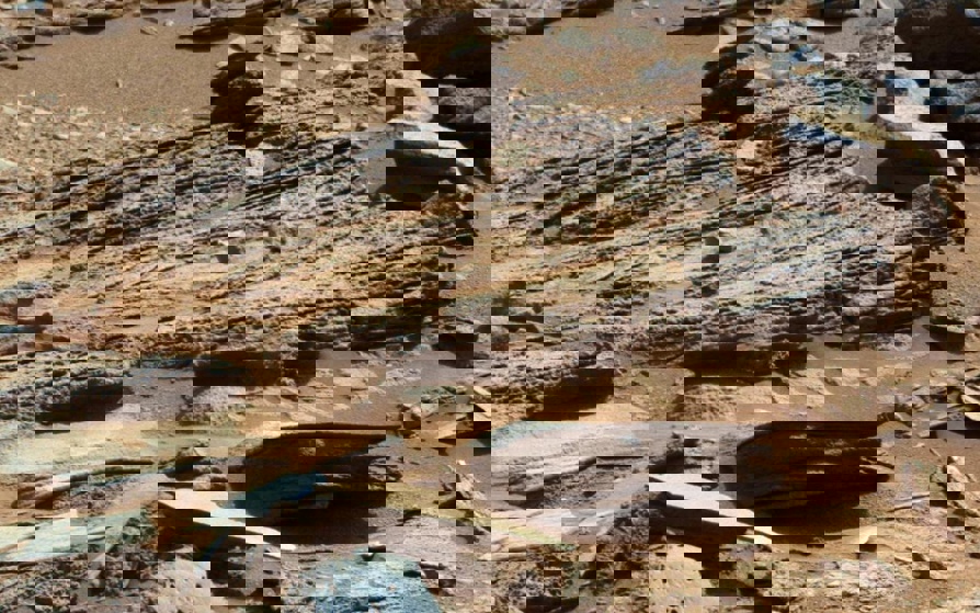 This image from the Mast Camera on Curiosity shows inclined layering known as cross-bedding in an outcrop called "Shaler" on a scale of a few tenths of meters, or decimeters