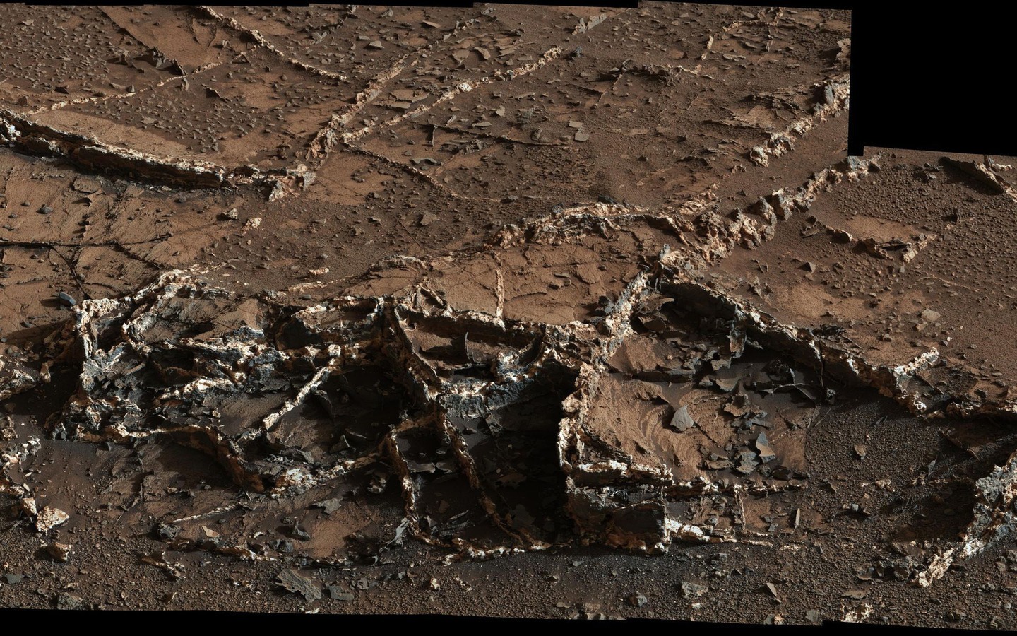 Two-tone mineral veins, seen in "Garden City" an area at the base of Mount Sharp.