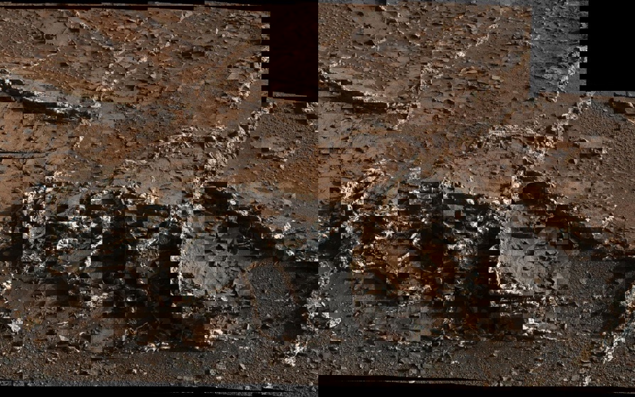 Two-tone mineral veins, seen in "Garden City" an area at the base of Mount Sharp.