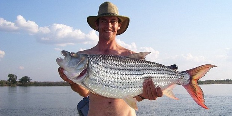 Quinn Swales, 40, was killed on Monday morning by a lion. (Photo / NZH)