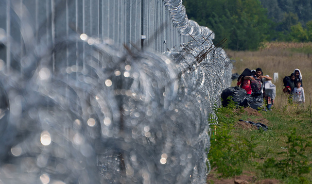 Migrants walk along the 4 meter tall border fence in Serbia (Getty Images) 