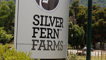  Silver Fern Farms CEO looks back on 75 years of business 