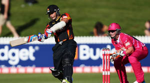 International Impact: Effective imports in NZ T20s