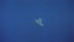 PUBLIC-DOMAIN-PHOTO-VIA-NASA