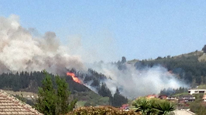 The fire near Mosgiel (via Facebook) 