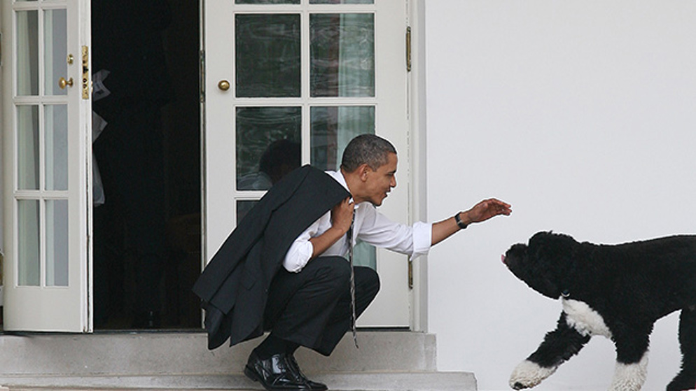 Obama and Bo (Getty Images)