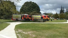 (Photo: Dana Kinita)