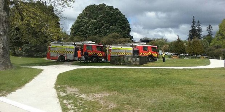 (Photo: Dana Kinita)