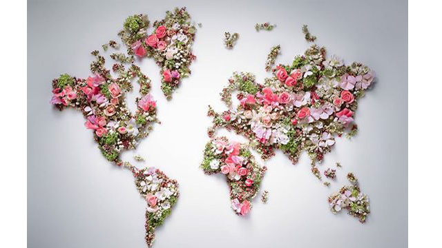 No sign of NZ on Dior's floral world map