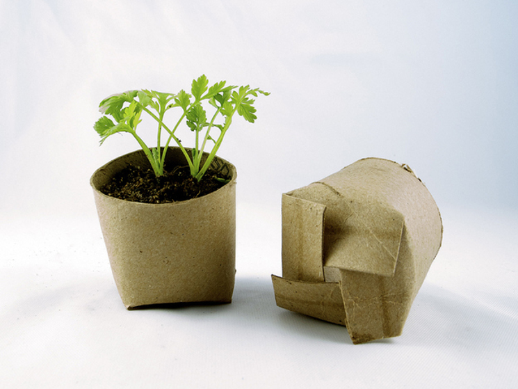 Make a nice biodegradable planter out of old toilet paper rolls.