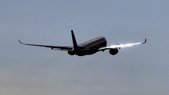 An Airbus A-321 has crashed in Sinai, Egypt (Getty)