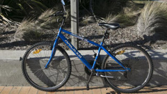A supplied image of the bicycle believed to be linked to the man (NZ Police)  