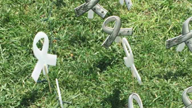 White Ribbons were placed in the ground at the demonstration (Christina Campbell) 
