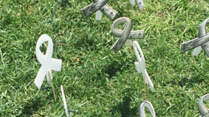 White Ribbons were placed in the ground at the demonstration (Christina Campbell)